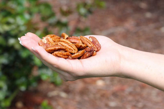 Certified Organic Pecans: Loved by Dads and Non-Dads Alike!